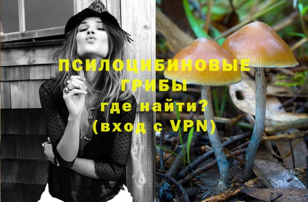 гидра Кукмор