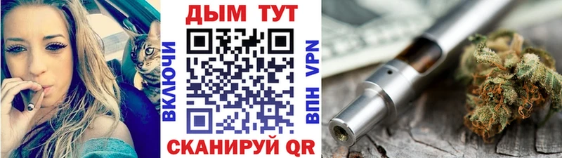 Конопля сатива  Норильск 